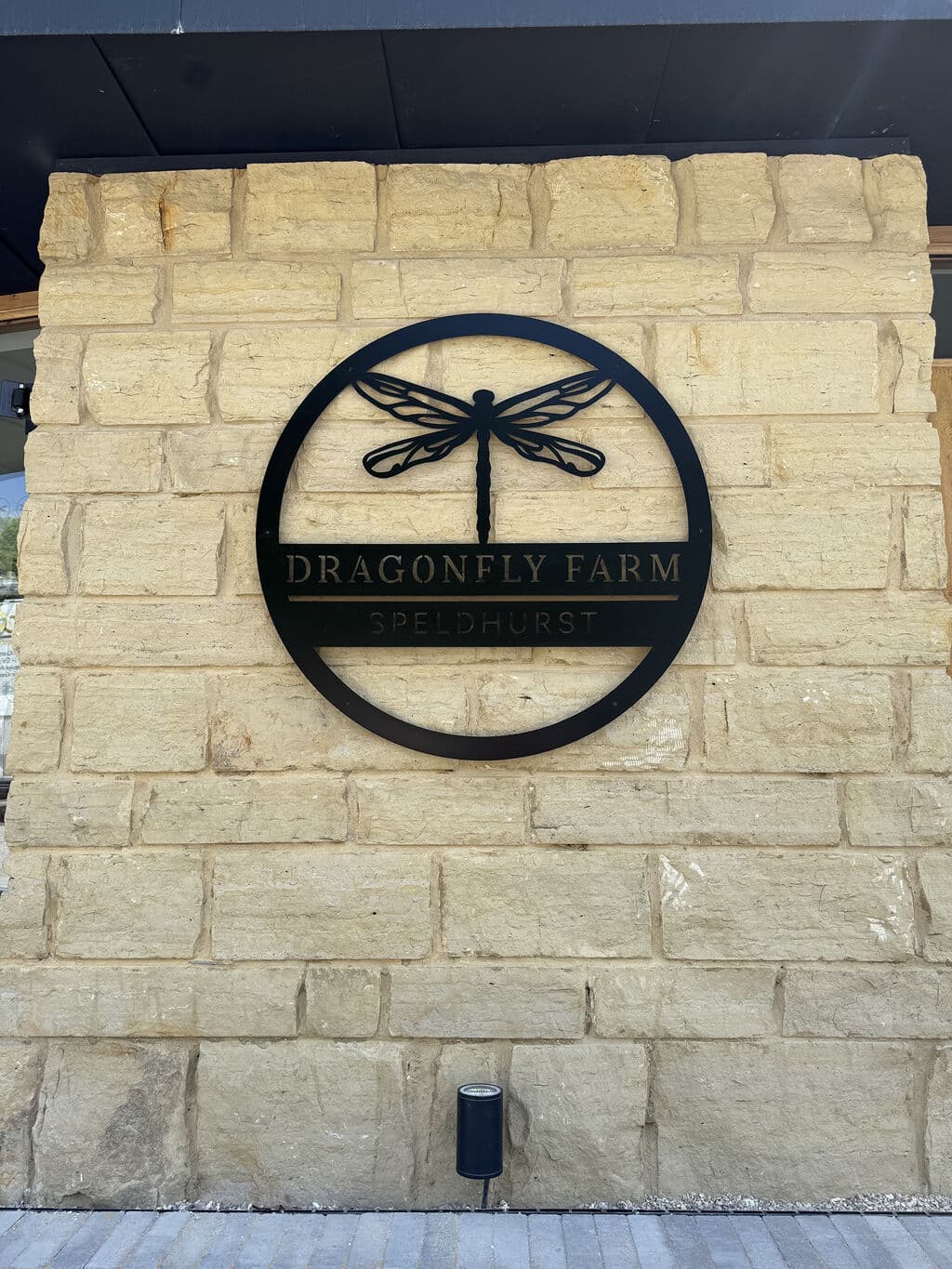 Dragonfly Farm