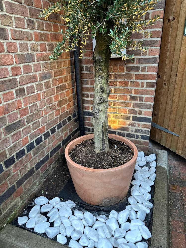 Coutts Electrical Contractors 58