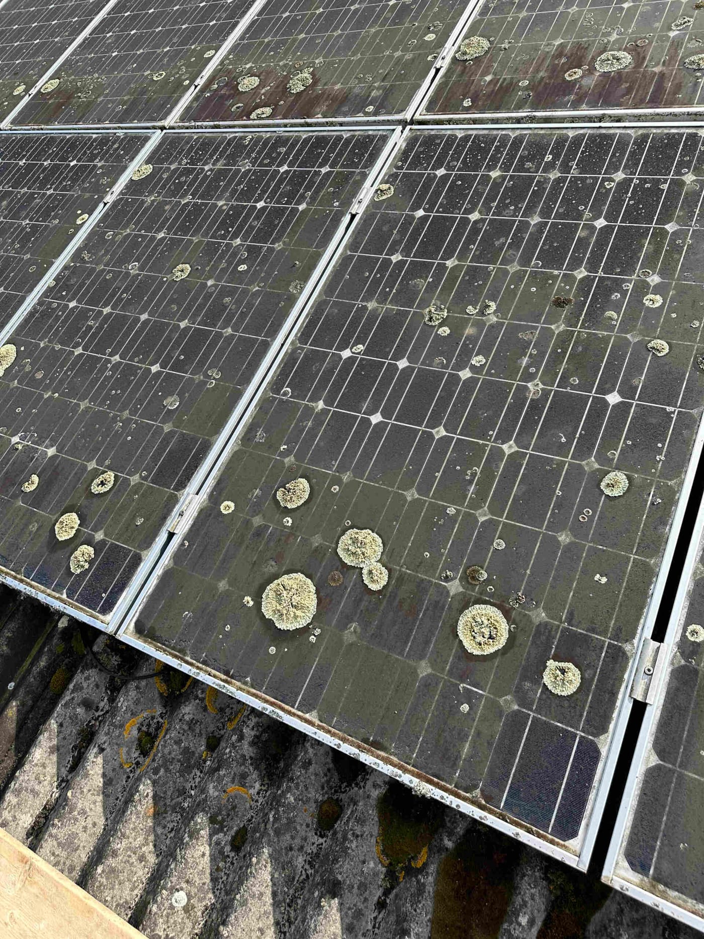 Illustrating: Maintaining and Cleaning Solar Panels: Essential Tips